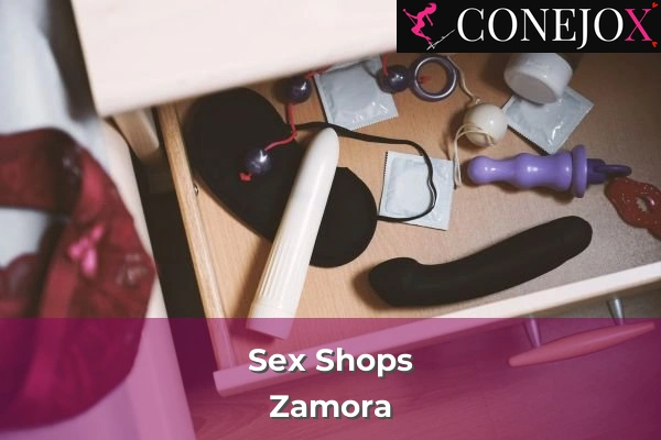 Sex Shops en la provincia de Zamora